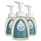 Citrus & Mint / Standard (Pack of 3)