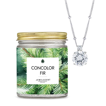 Concolor Fir Jewelry Aroma Beads