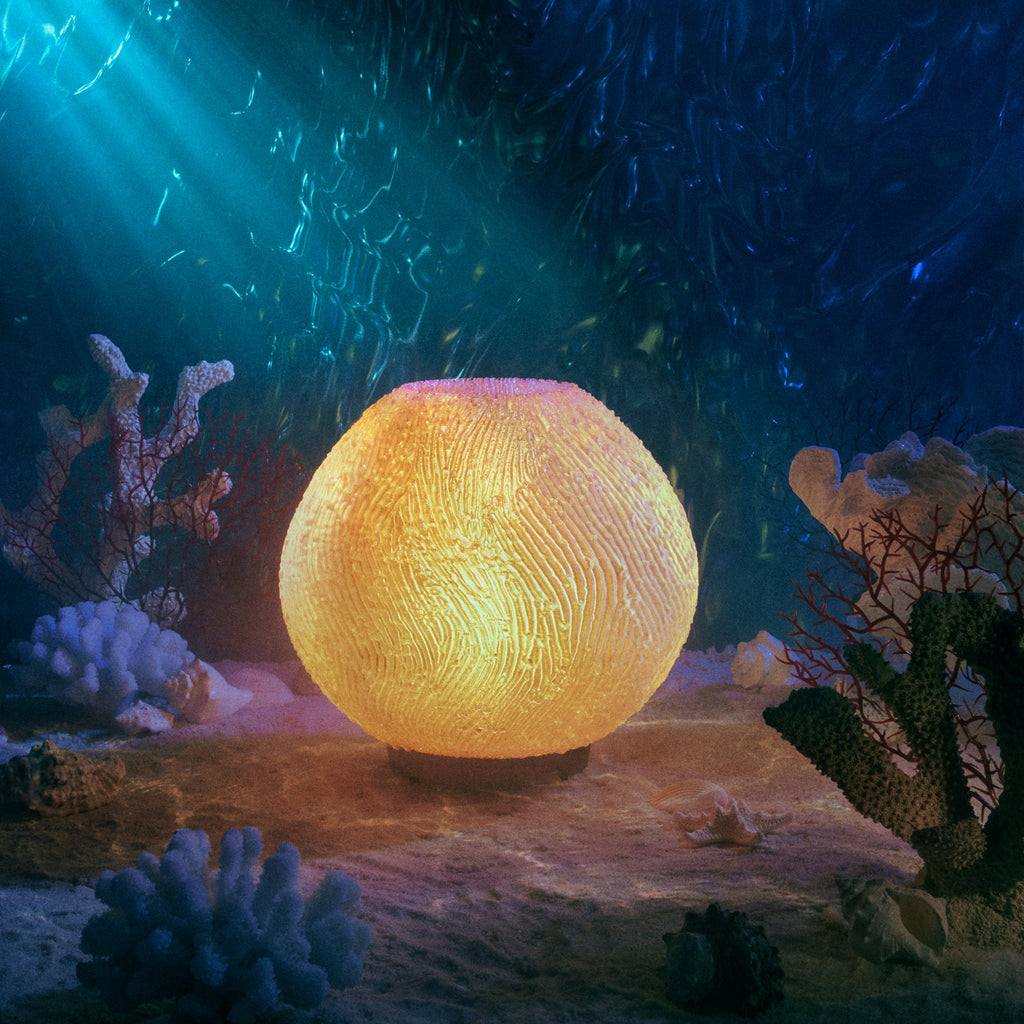 Coral Lamp