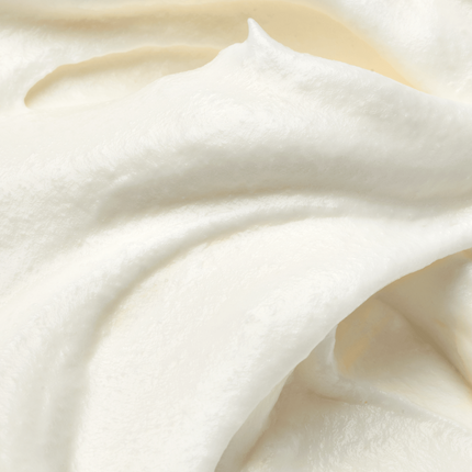 CAKE WHIP / vanilla bean