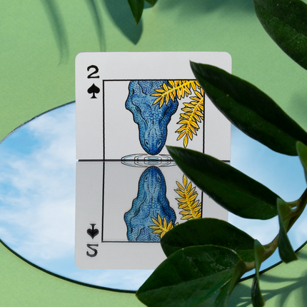 Dinosaur Playing Cards
