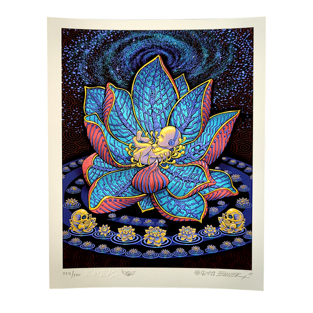 Emek “Lotus Baby” Mini Print