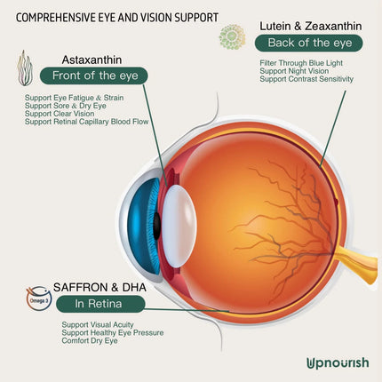 Ocular Protocol - Areds 2 Plus