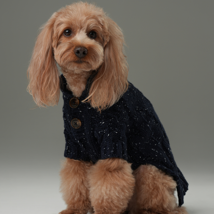 GLACIER PET SWEATER - NAVY