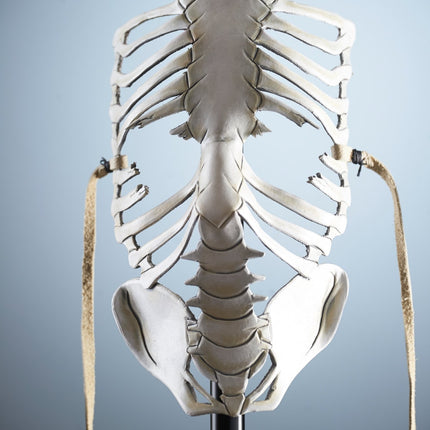 Skeleton Handmade Genuine Leather Mask in White