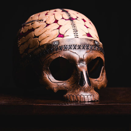 Frank's Brain Handmade Genuine Leather Mask
