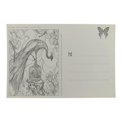 James Jean "Birdcage” Postcard