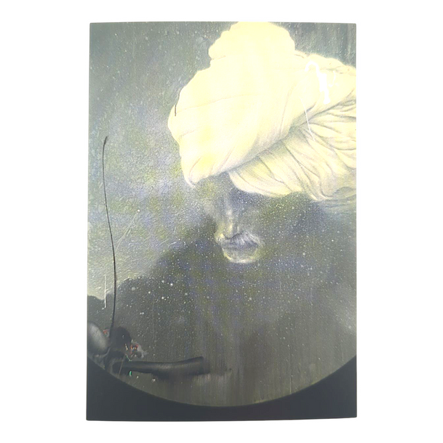 James Jean "Sikh" Postcard