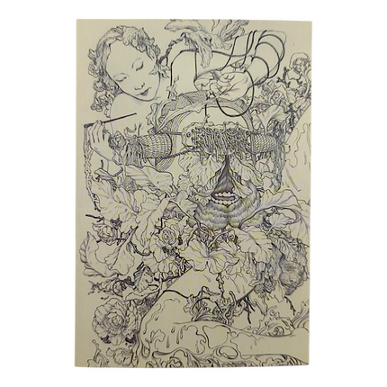 James Jean "Tanuki" Postcard