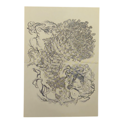 James Jean "Tumor" Postcard