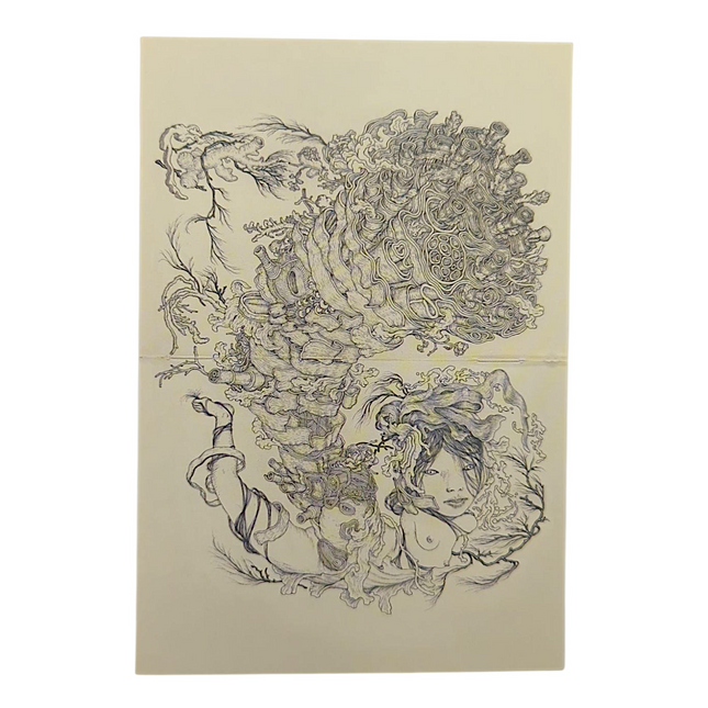 James Jean "Tumor" Postcard