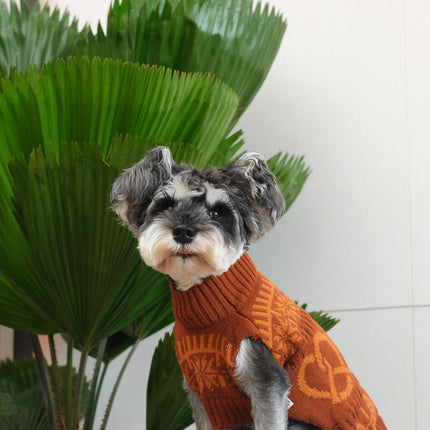 Pretzel Pet Sweater - Tofee Orange