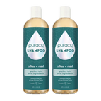 Citrus & Mint / Standard (Pack of 2)