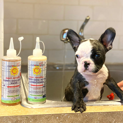 (No Fragrance) Super Sensitive™ Puppy + Dog + Kitty Conditioner