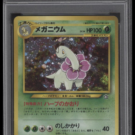 Meganium-Holo 2000 Pokemon Japanese Neo #154 Premium File PSA 9