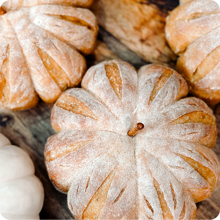 A Taste of Sourdough Cookbook