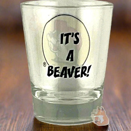Buc-ee's It's A Beaver Shot Glass