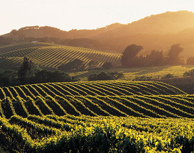 California Wine Country