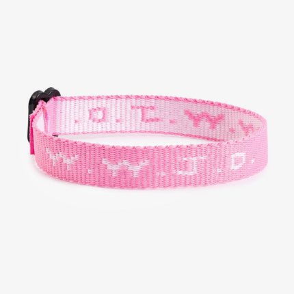 WWJD Bracelet Pack